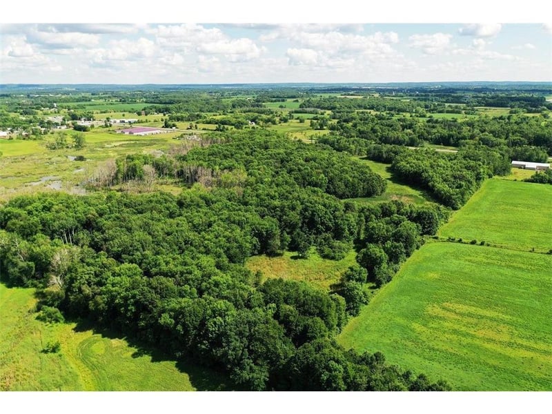 169xx Lake Blvd, Shafer, MN 55074