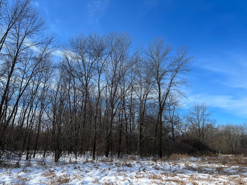 169xx Lake Blvd, Shafer, MN 55074