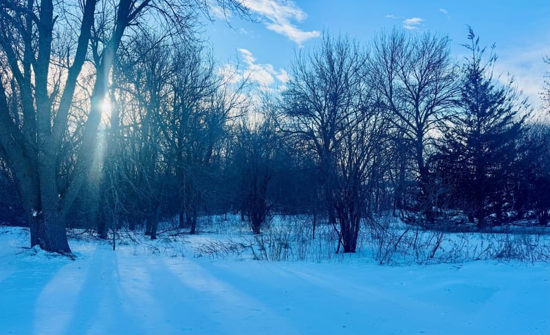 3480 County Road 8 NE, Spicer, MN 56288