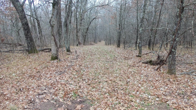 Lot 6 Canute Creek Trl, Grantsburg, WI 54840