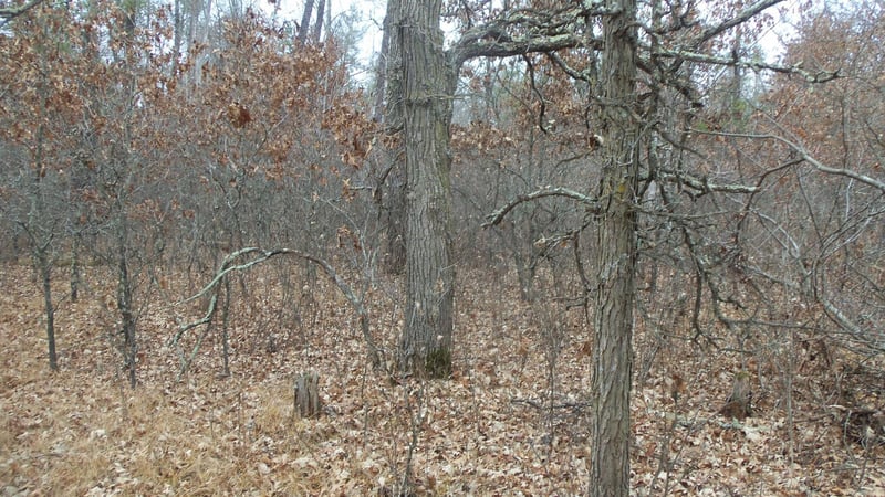 Lot 8 Canute Creek Trl, Grantsburg, WI 54840