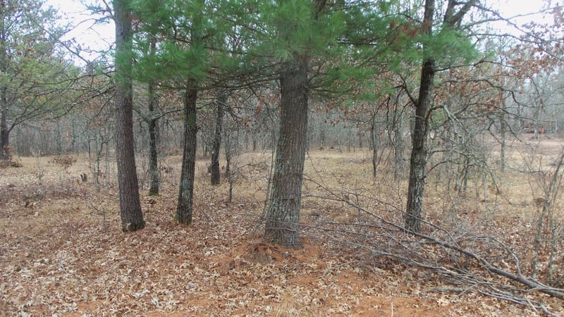 Lot 8 Canute Creek Trl, Grantsburg, WI 54840