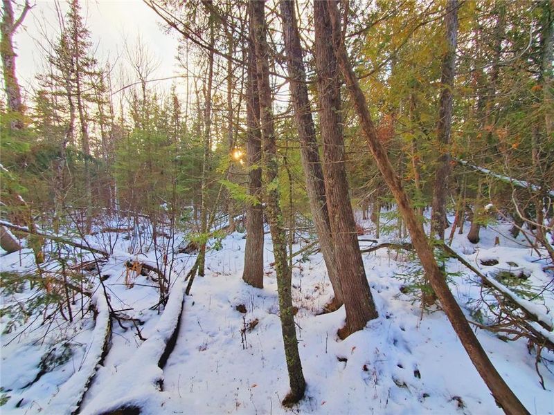 XX10 Lavaque Rd, Duluth, MN 55802