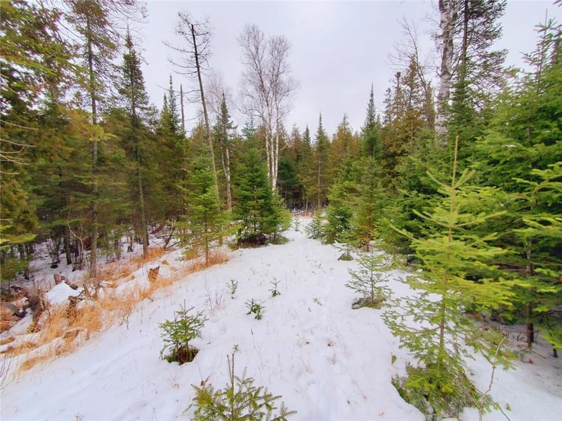 XX40 Lavaque Rd, Duluth, MN 55802