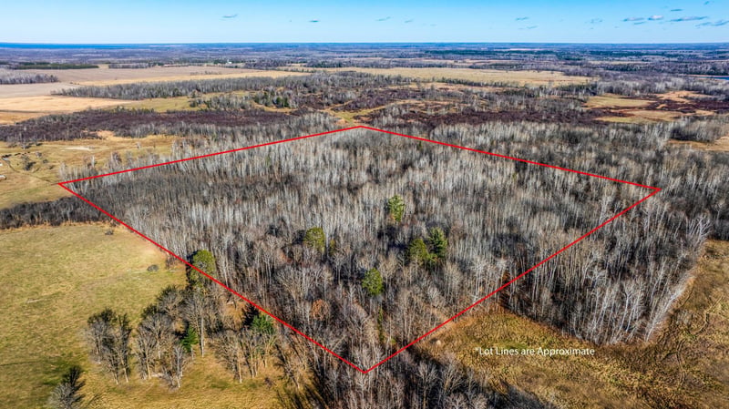 TBD Gillman Rd NE, Puposky, MN 56667