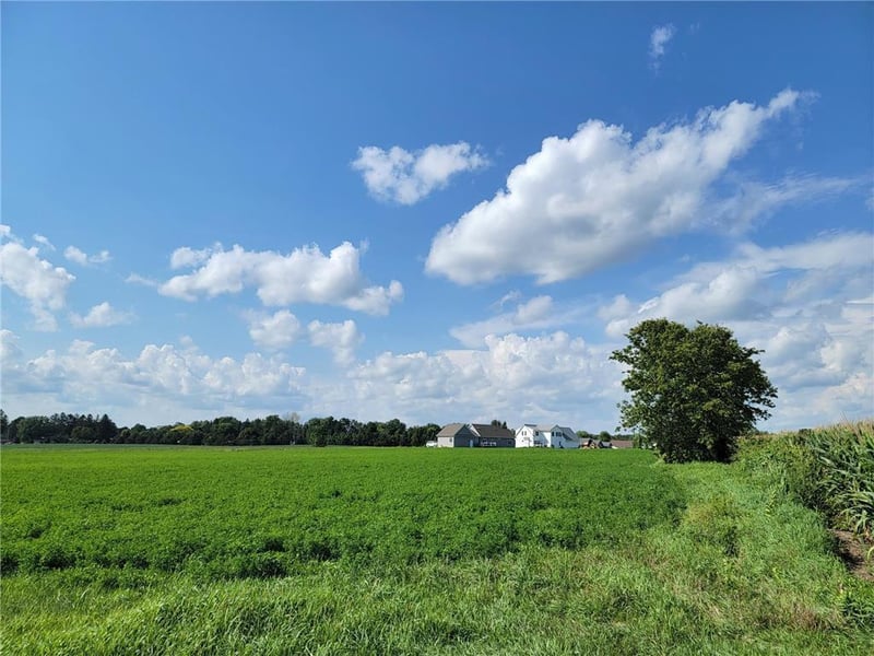 TBD Garden Rod, Harmony, MN 55939