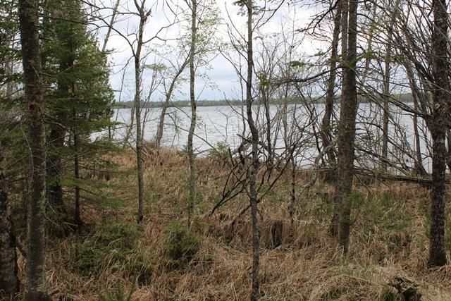 TBD County Rd 19, Deer River, MN 56636