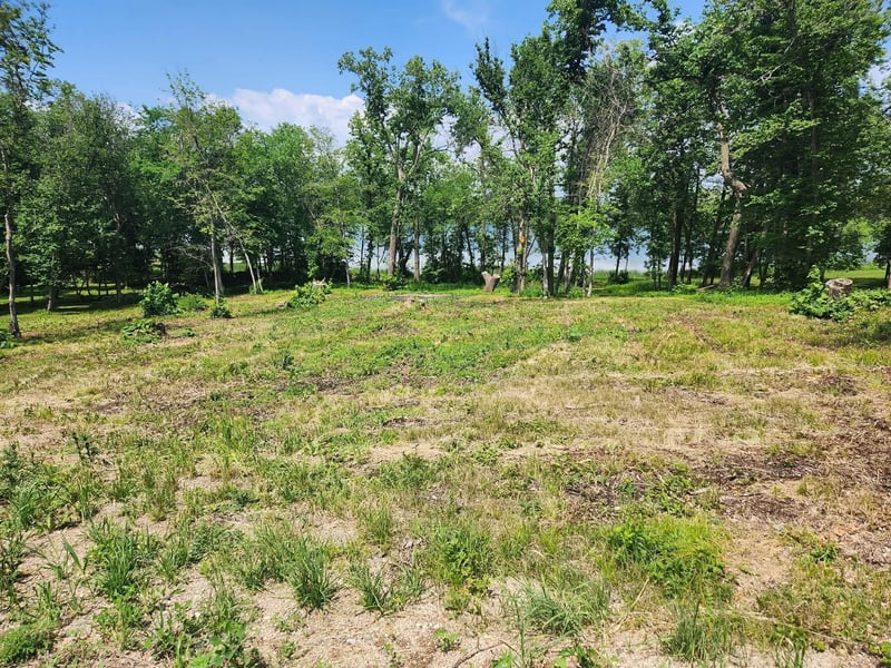 Lot 2 125th St, Dalton, MN 56324