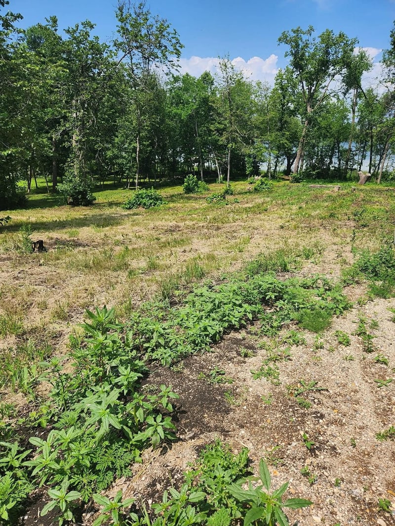Lot 2 125th St, Dalton, MN 56324