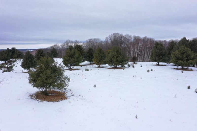 Lot 1 Spirit Lake Access Rd, Frederic, WI 54837