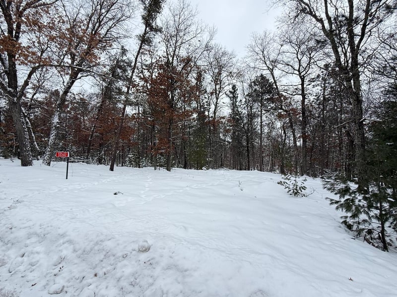 30282 N Des Moines Lake Rd, Webb Lake, WI 54830