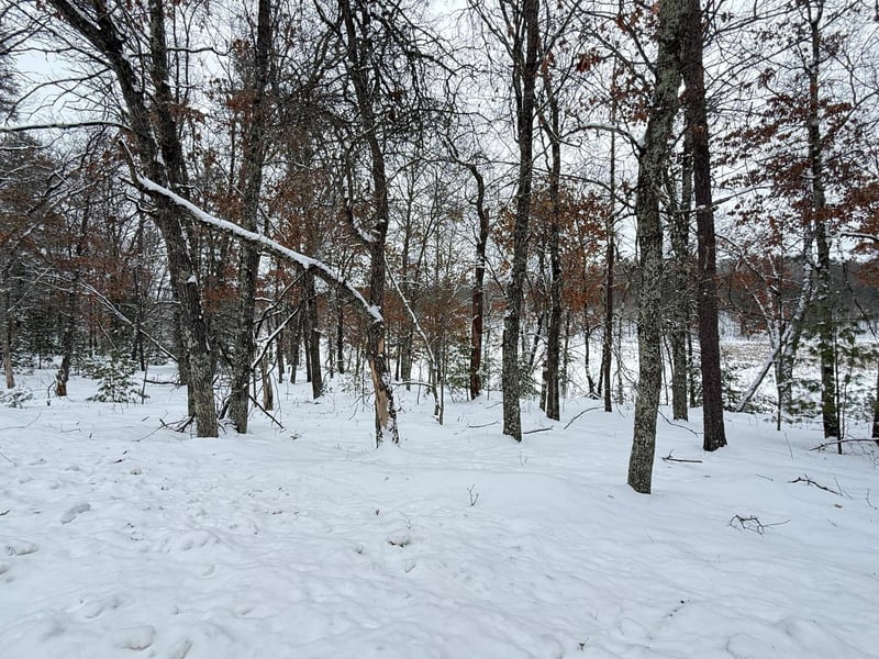 30282 N Des Moines Lake Rd, Webb Lake, WI 54830