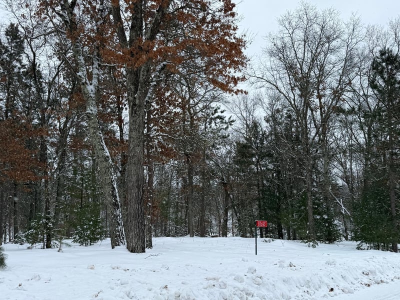 30282 N Des Moines Lake Rd, Webb Lake, WI 54830