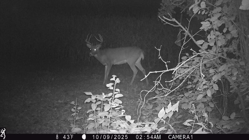 TBD County Road 17, Winona, MN 55987