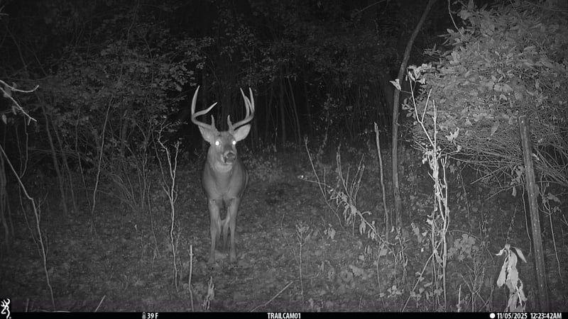 TBD County Road 17, Winona, MN 55987
