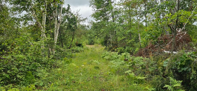 TBD Parcel B Sunnyside Rd SE, Bemidji, MN 56601