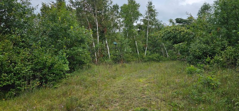 TBD Parcel B Sunnyside Rd SE, Bemidji, MN 56601
