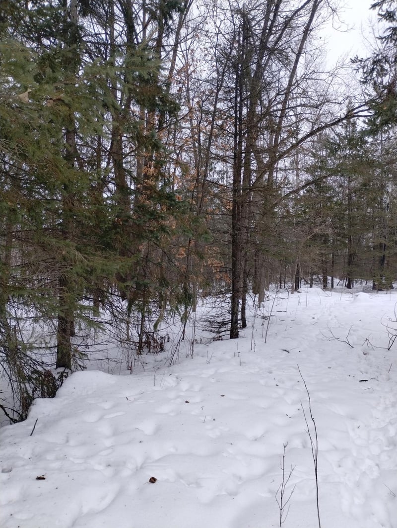tbd 294th Ave, Brook Park, MN 55007