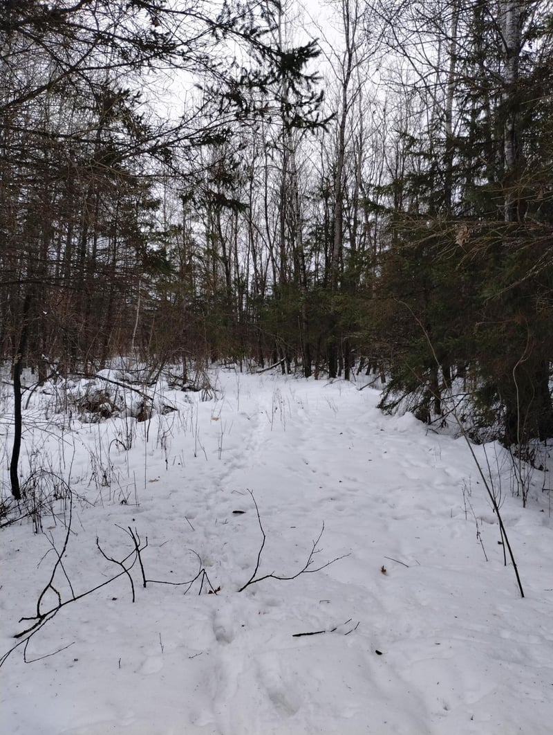 tbd 294th Ave, Brook Park, MN 55007