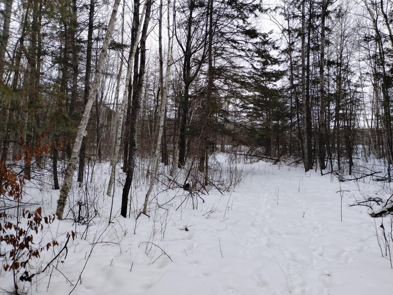 tbd 294th Ave, Brook Park, MN 55007