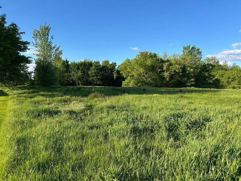 TBD 69th Ln N, Rockford, MN 55373