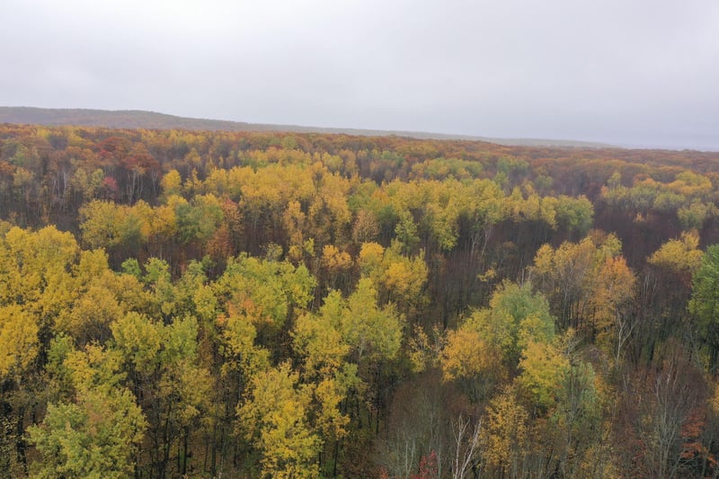 16XXX W County Road O, Weyerhaeuser, WI 54895