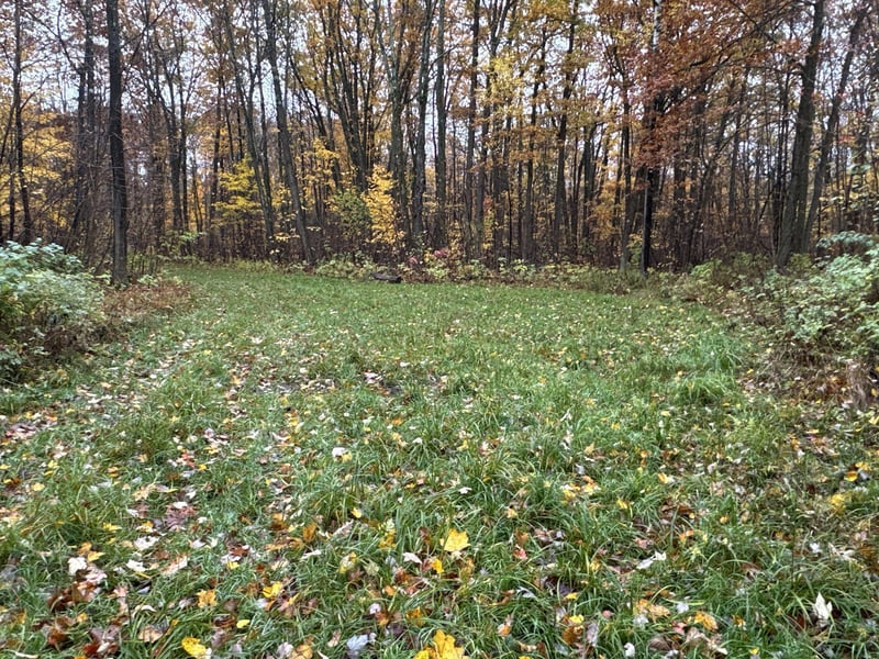 16XXX W County Road O, Weyerhaeuser, WI 54895