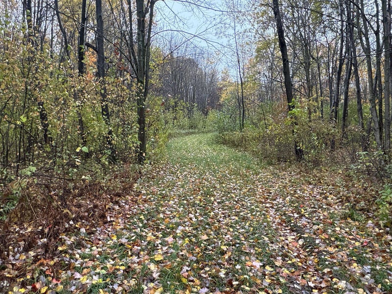 16XXX W County Road O, Weyerhaeuser, WI 54895