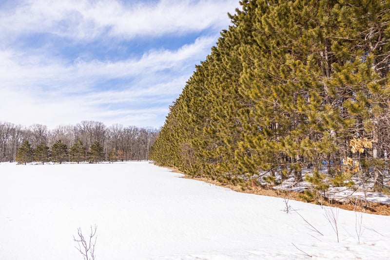000 Mid River Rd, Pine City, MN 55063
