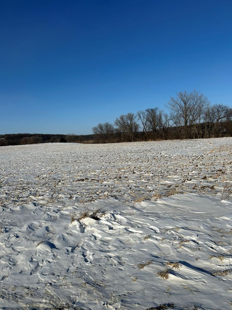 XXXX 285th St #10 Acres, Northfield, MN 55057