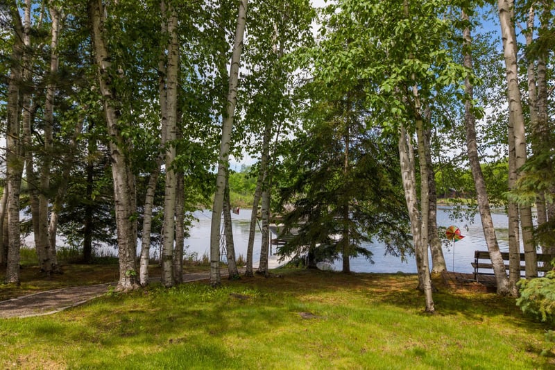 37931 Dream Island Rd, Crosslake, MN 56442