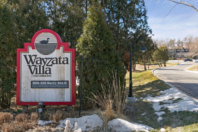205 Barry Ave S #303, Wayzata, MN 55391