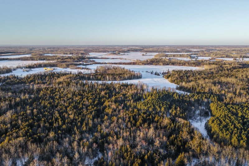 24193 Nebish Rd NE, Blackduck, MN 56630
