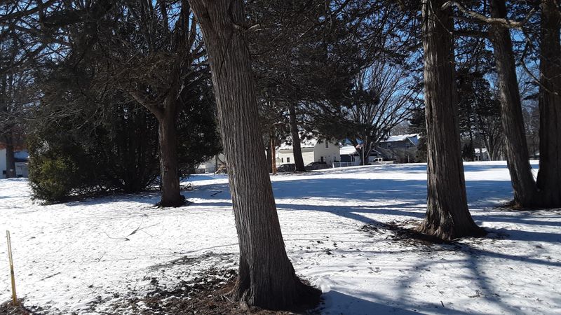 34x 3rd St NW, Forest Lake, MN 55025