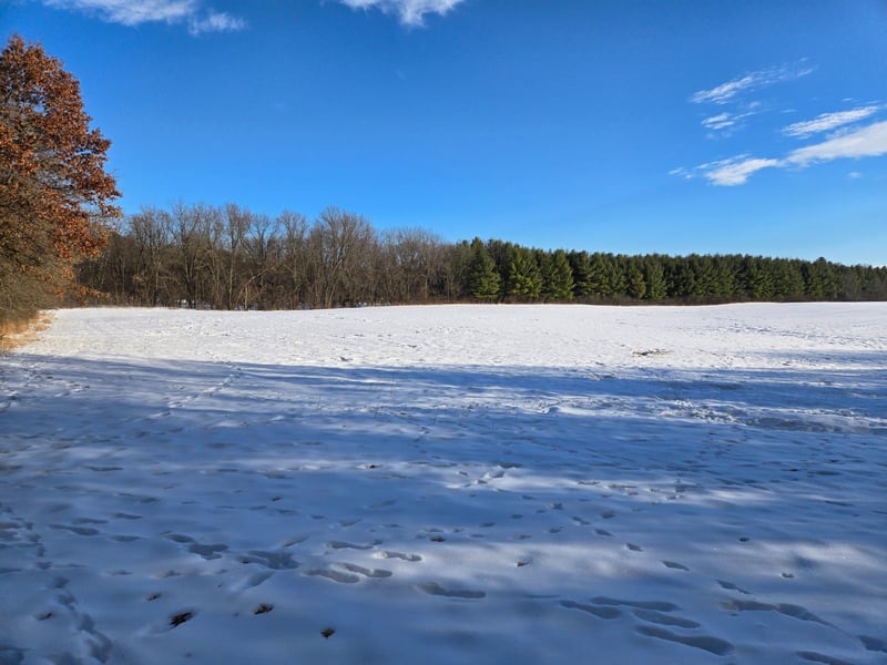 20.05 Acres County Road N, Wheeler, WI 54772