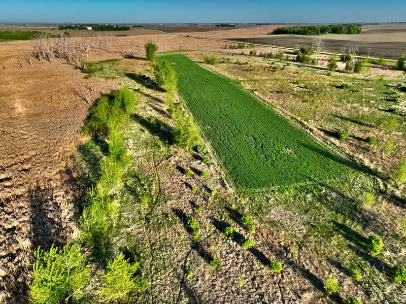 TBD County Highway 14, Madison, MN 56256