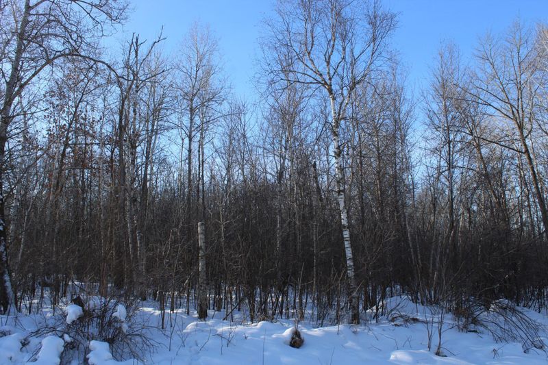 9xxx 200th St, Milaca, MN 56353