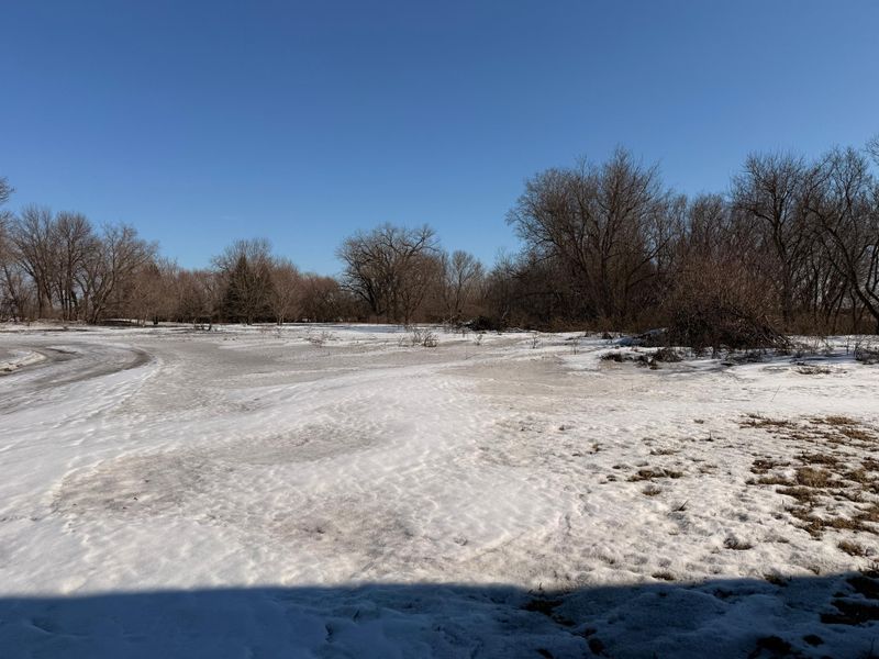 20275 140th St, Herman, MN 56248