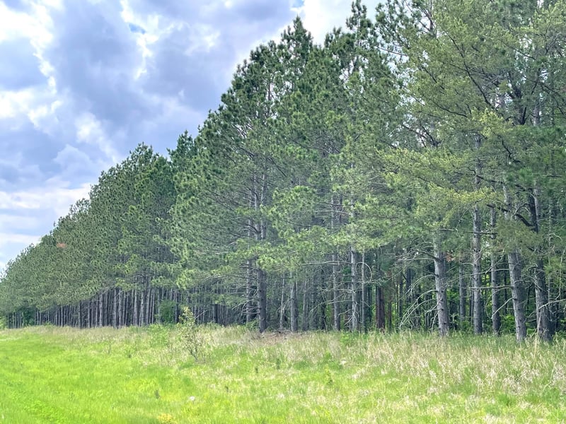 TBD N Plantangenet Rd SE, Bemidji, MN 56601