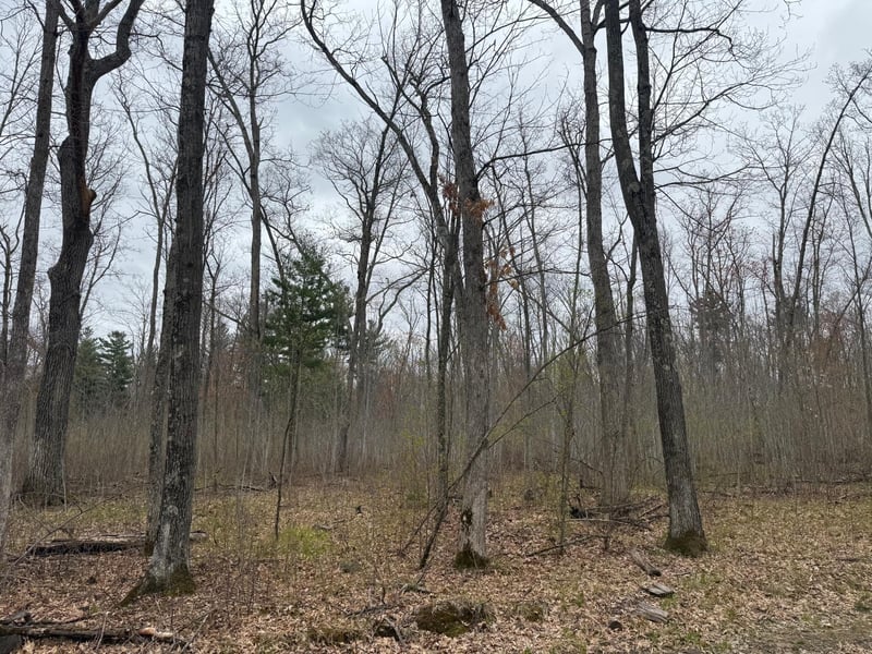 TBD Foss Ln, Spooner, WI 54801