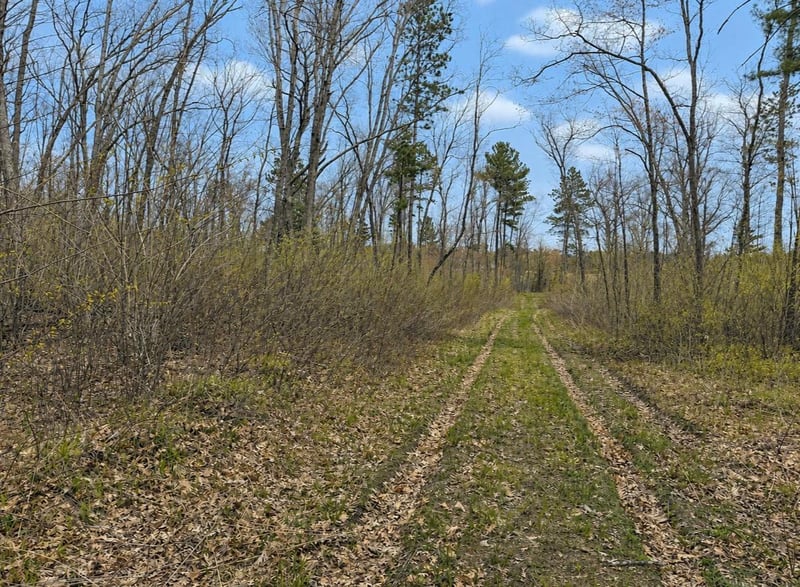 TBD Foss Ln, Spooner, WI 54801