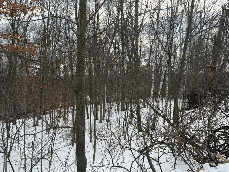 TBD 180th Ave, Balsam Lake, WI 54810