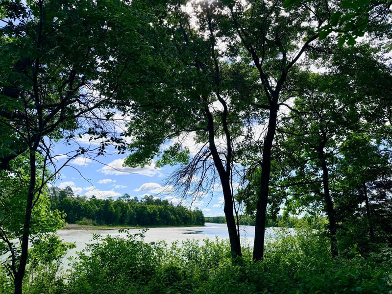 TBD Brush Lake Ln, Park Rapids, MN 56470