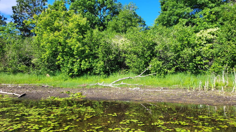 TBD Brush Lake Ln, Park Rapids, MN 56470