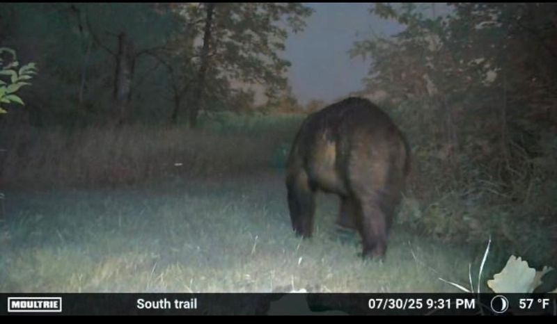 TBD County 36, Bemidji, MN 56601