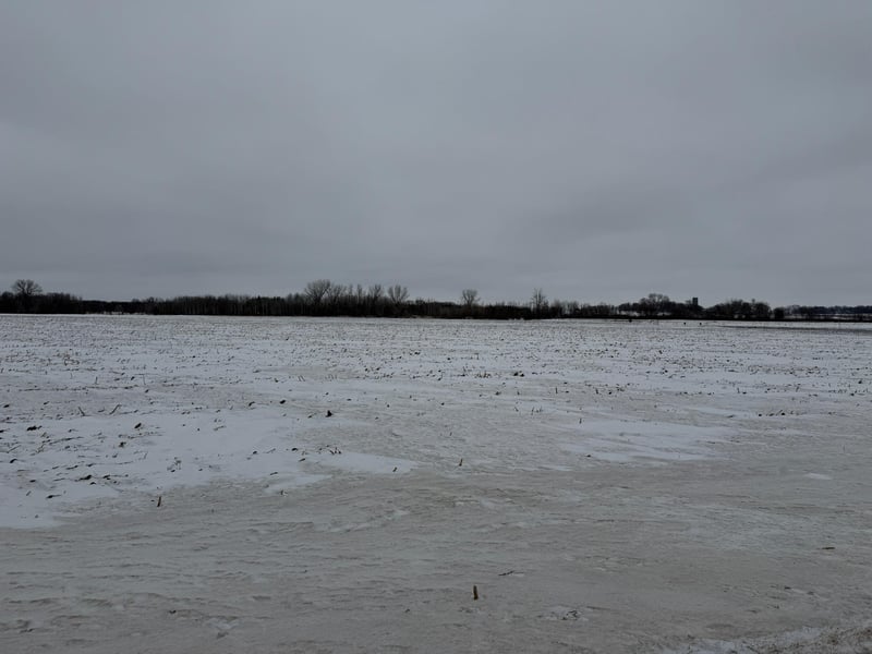 Section 31 Lake George Township, Belgrade, MN 56312