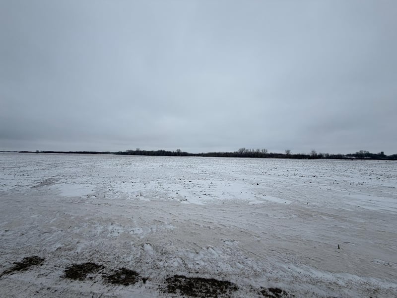 Section 31 Lake George Township, Belgrade, MN 56312