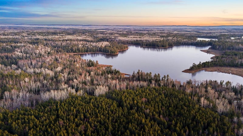 TBD Arthur Lake, Babbitt, MN 55706