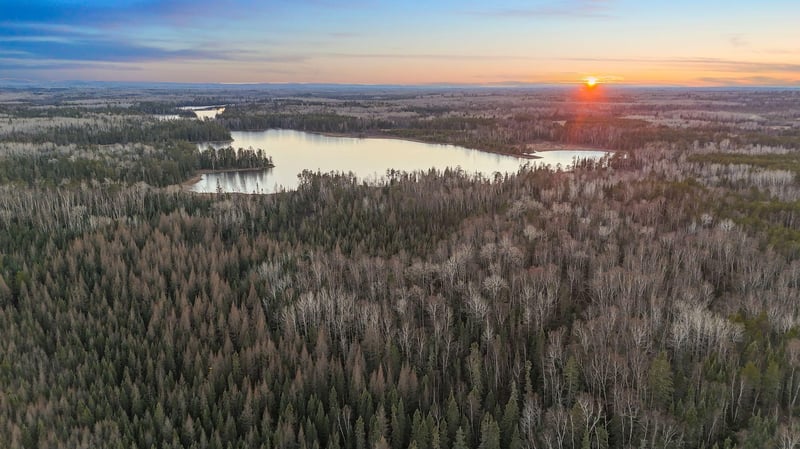 TBD Arthur Lake, Babbitt, MN 55706