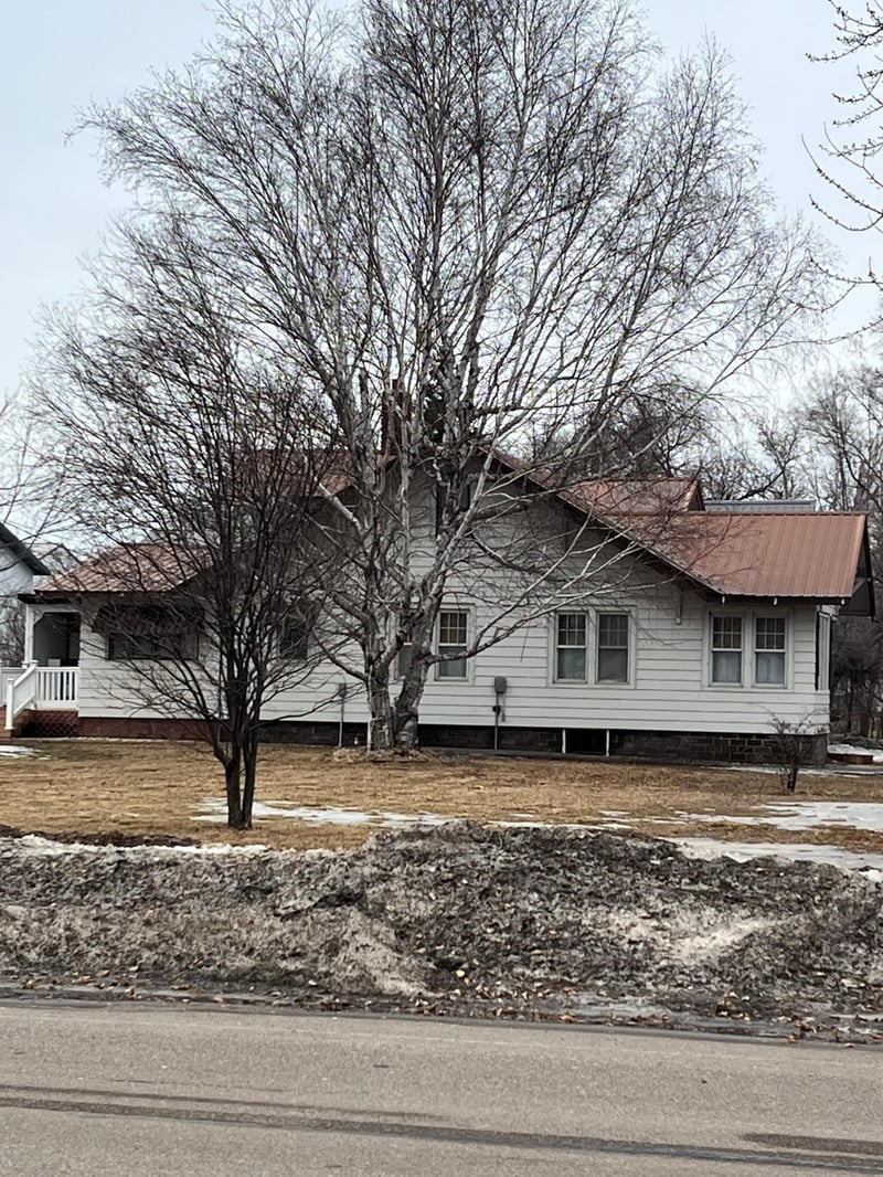 114 2nd Ave, Bellingham, MN 56212